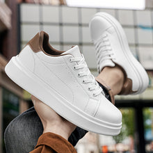 Laden Sie das Bild in den Galerie-Viewer, image7